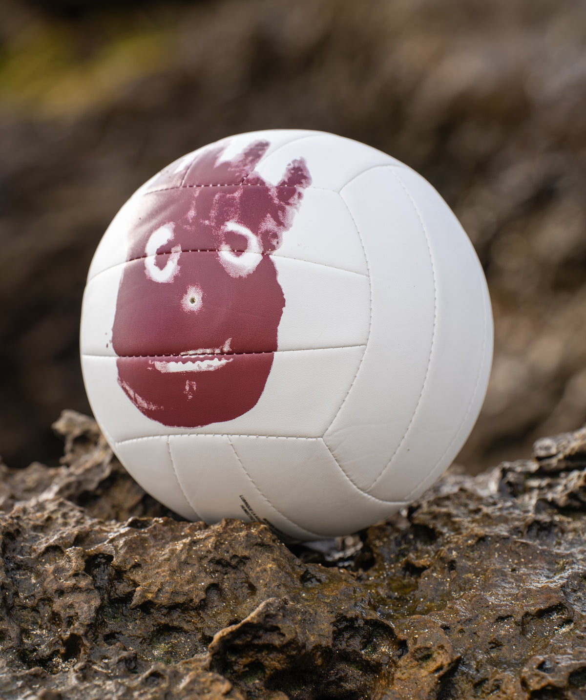 Wilson AVP Castaway Volleyball