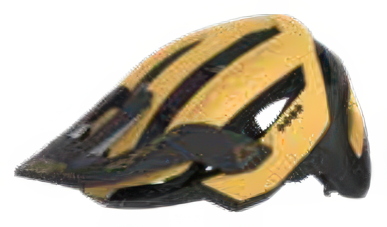 Image alt