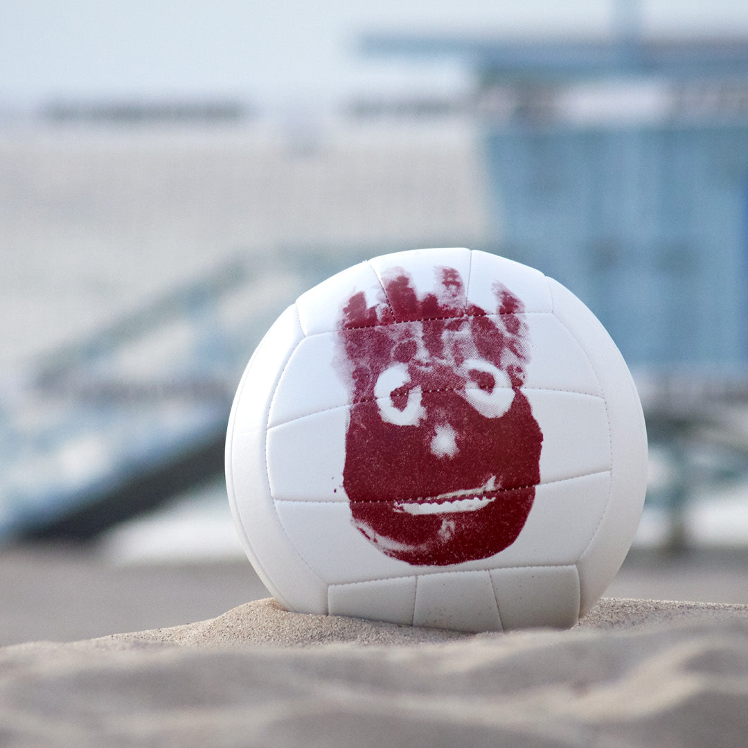 Wilson AVP Castaway Volleyball
