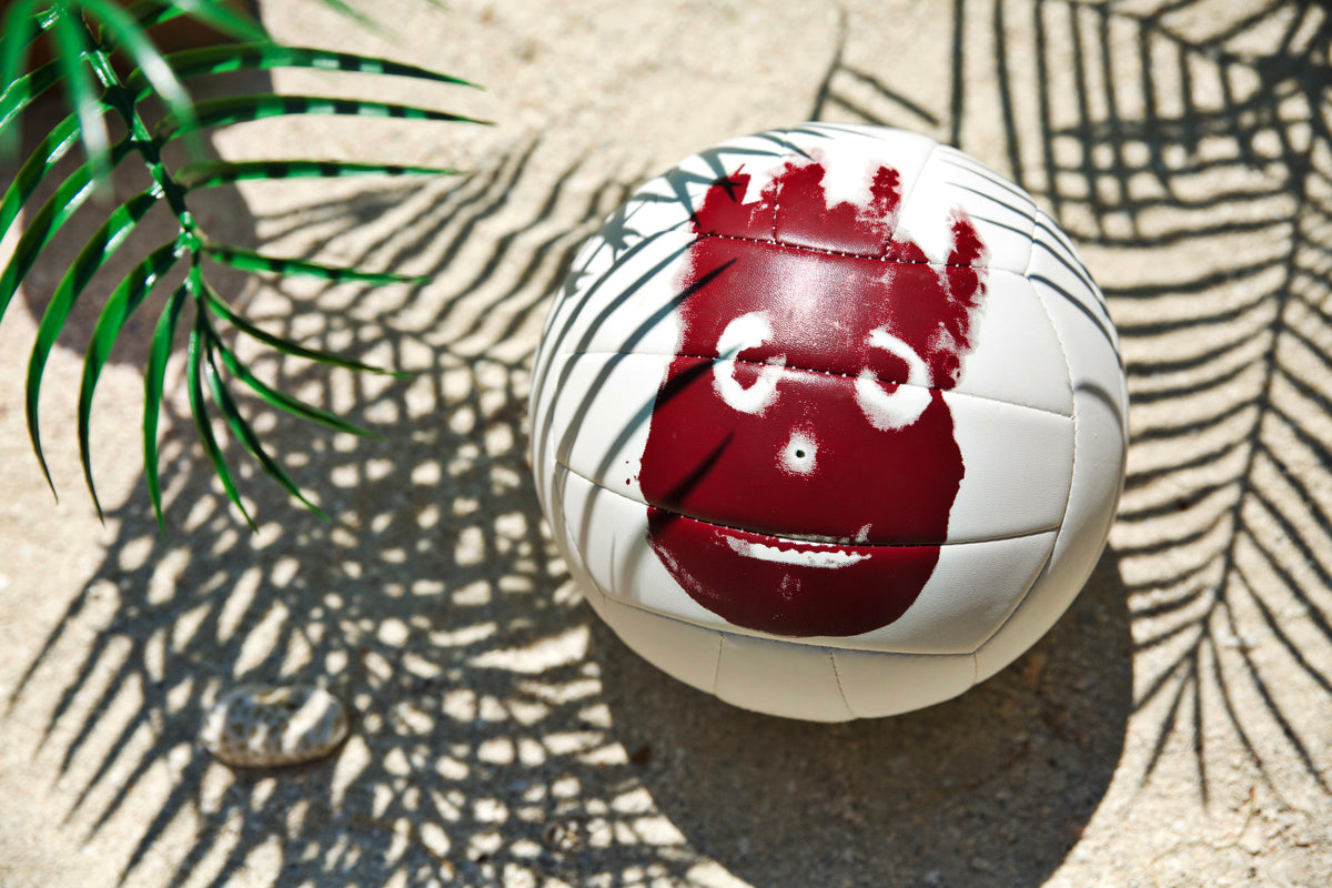 Wilson AVP Castaway Volleyball