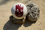 Wilson AVP Castaway Volleyball