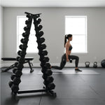 Steel Dumbbell Racks Vertical & Horizontal (3, 6, 8, 10 Levels)
